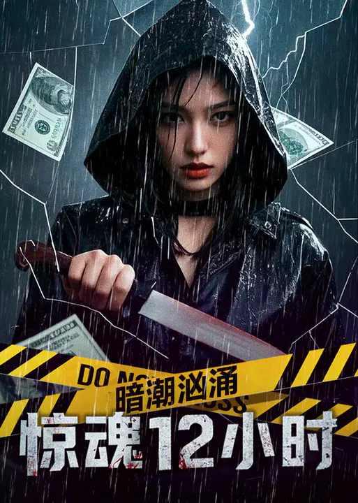 【动作片】暗潮汹涌之惊魂12小时